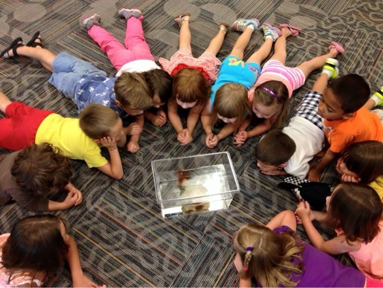 A circle of kids lying on the floor around a small tank