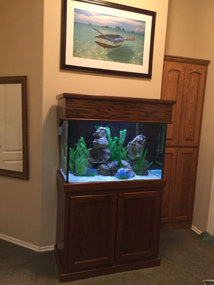 Cichlid aquarium installed on a wooden cabinet